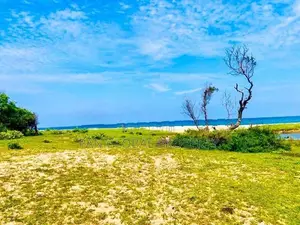Beach Land for Sale in Arugam Bay