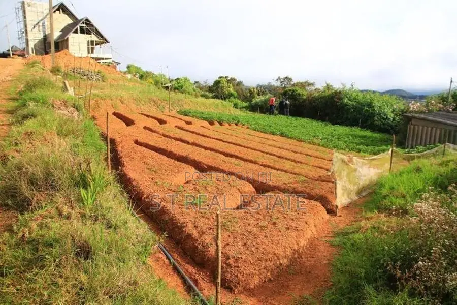 20P Prime Land For Sale In Nuwara Eliya