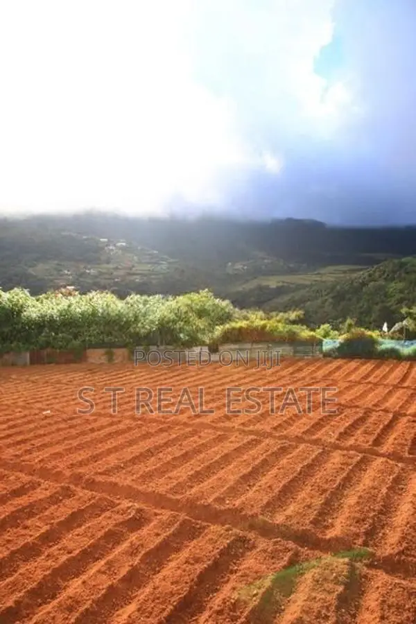 20P Prime Land For Sale In Nuwara Eliya