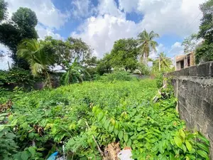 10 P Land Sale At Facing Colomba Thanthree Mw Ethulkotte