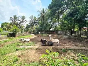 12P High Residential Bare Land For Sale In Pelawatta