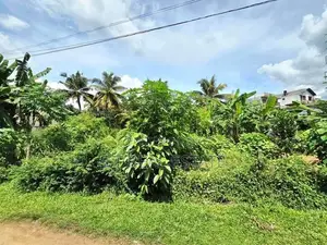 8P Residential Bare Land For Sale In Hokandara