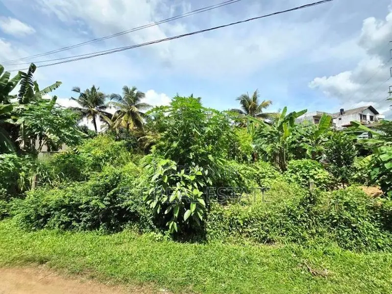 8P Residential Bare Land For Sale In Hokandara