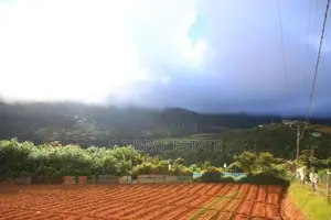 20P Prime Land For Sale In Nuwara Eliya