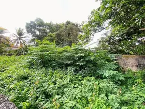 10 P Land Sale At Facing Colomba Thanthree Mw Ethulkotte