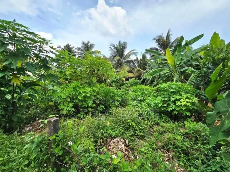 8P Residential Bare Land For Sale In Hokandara