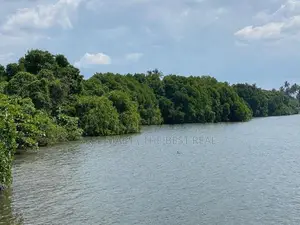 Negombo : 124 perches Hotel Land for Sale facing Lagoon and Bus Road