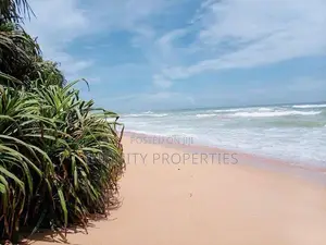 (AFA658) 147.25 P Beach Facing Land Sale At Kahadamodara Rekewa Ranna