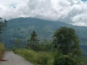 Mountain Range View Point Pundaluoya