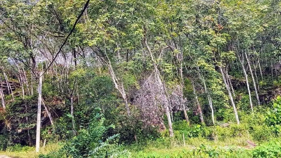 (afa651) 19 Acre Land Sale at Nebada Kalutara