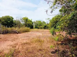 (AFA658) 147.25 P Beach Facing Land Sale At Kahadamodara Rekewa Ranna