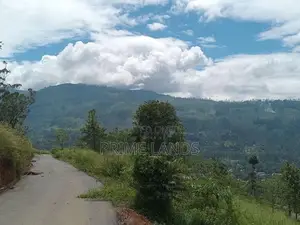 Mountain Range View Point Pundaluoya