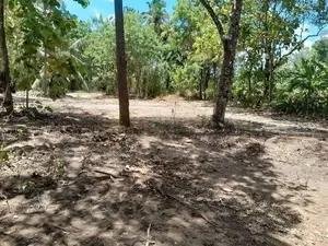 Land for Sale in Agunakolapelessa – Hambantota