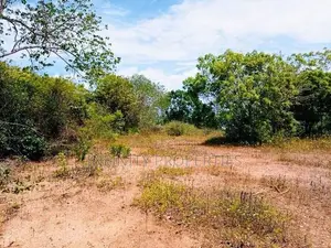(AFA658) 147.25 P Beach Facing Land Sale At Kahadamodara Rekewa Ranna