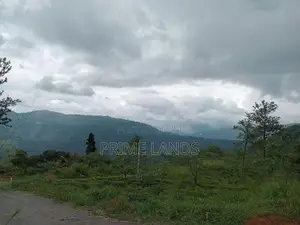 Mountain Range View Point Pundaluoya
