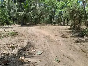 Land for Sale in Agunakolapelessa – Hambantota