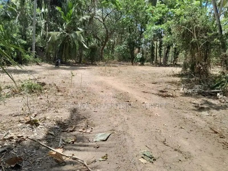 Land for Sale in Agunakolapelessa – Hambantota