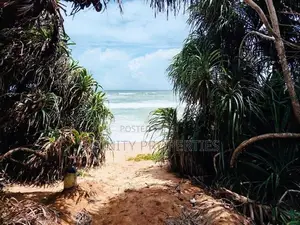 (AFA658) 147.25 P Beach Facing Land Sale At Kahadamodara Rekewa Ranna
