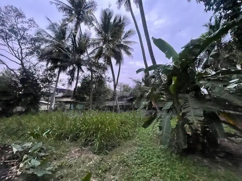 Mount Lavinia : 25 perches Land for Sale at Off Templers road