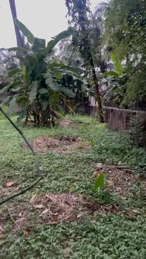 Mount Lavinia : 25P Land Sale (Discounted Price) at Off Templers road