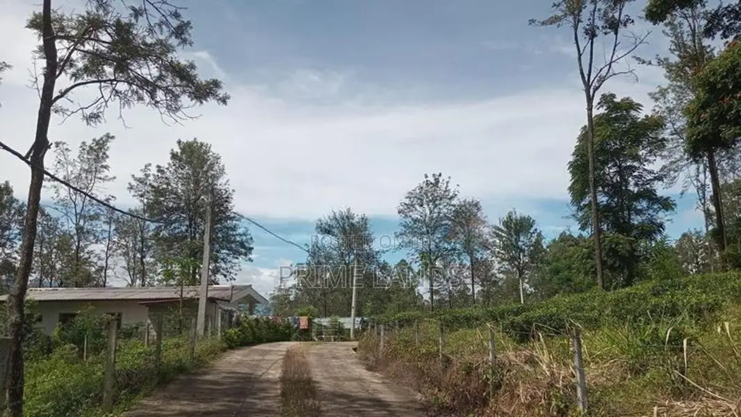 Land for sale Nuwara Eliya Ramboda