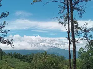 Land for sale Nuwara Eliya Ramboda