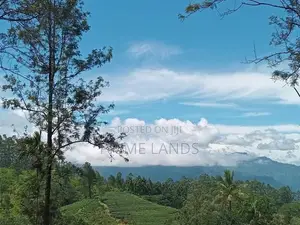 Land for sale Nuwara Eliya Ramboda