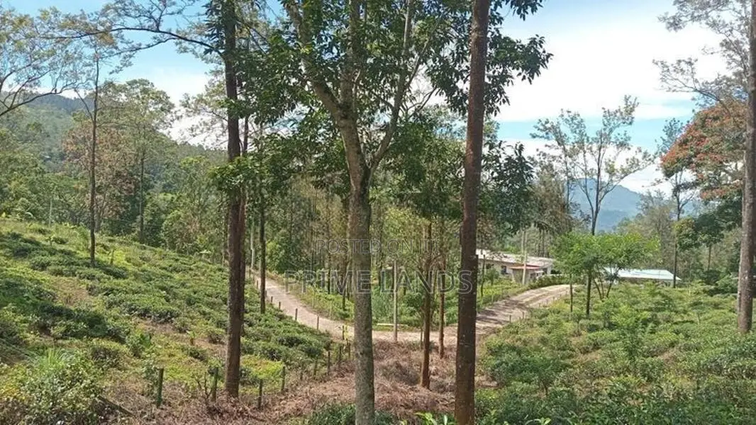 Land for Sale Ramboda