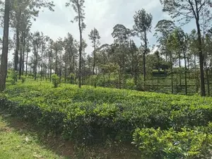 Land for Sale Ramboda