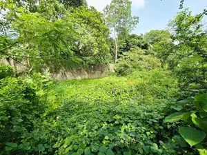 10P Bare Land For Sale In Battaramulla