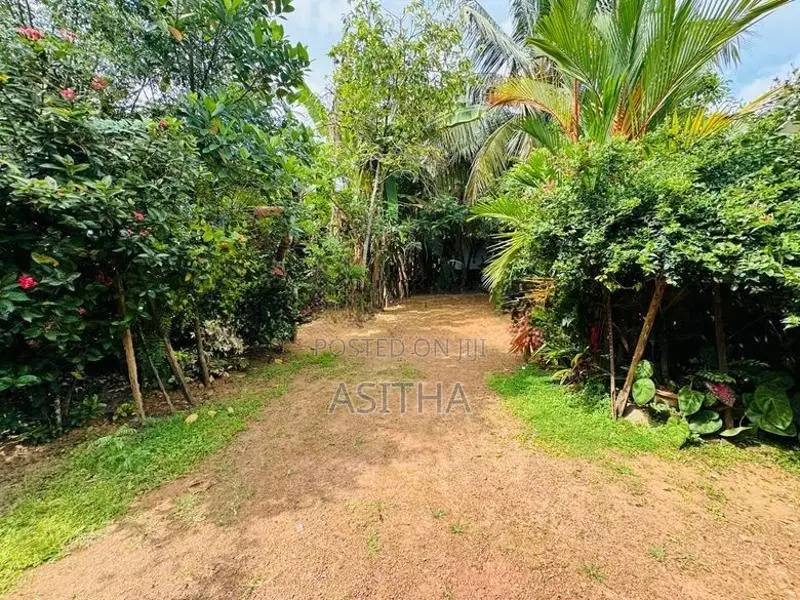 පචස් 42 අනර්ඝ වටිනා ඉඩම . විජෙරාම