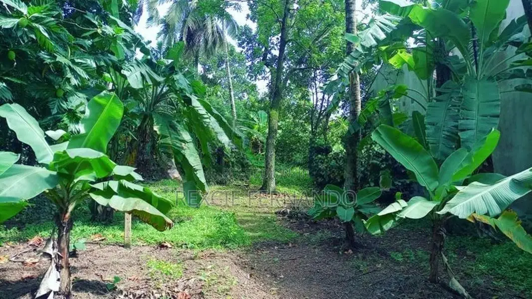 Bare Land Kahathuduwa