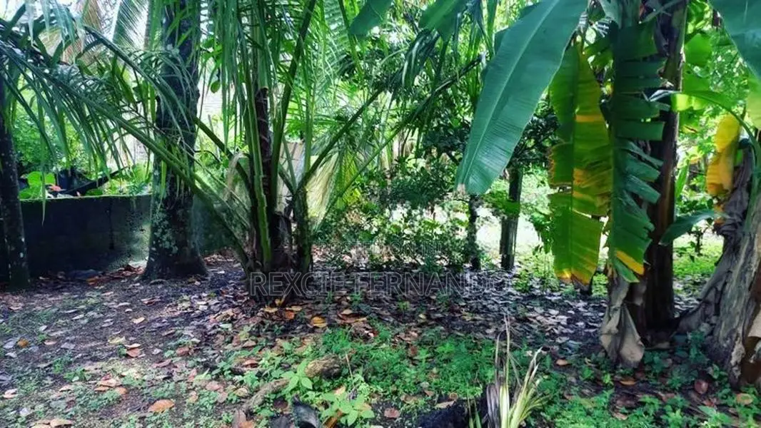 Bare Land Kahathuduwa