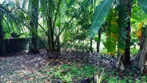 Bare Land Kahathuduwa