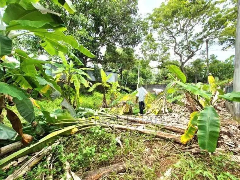 9.10P Bare Land For Sale In Nawala