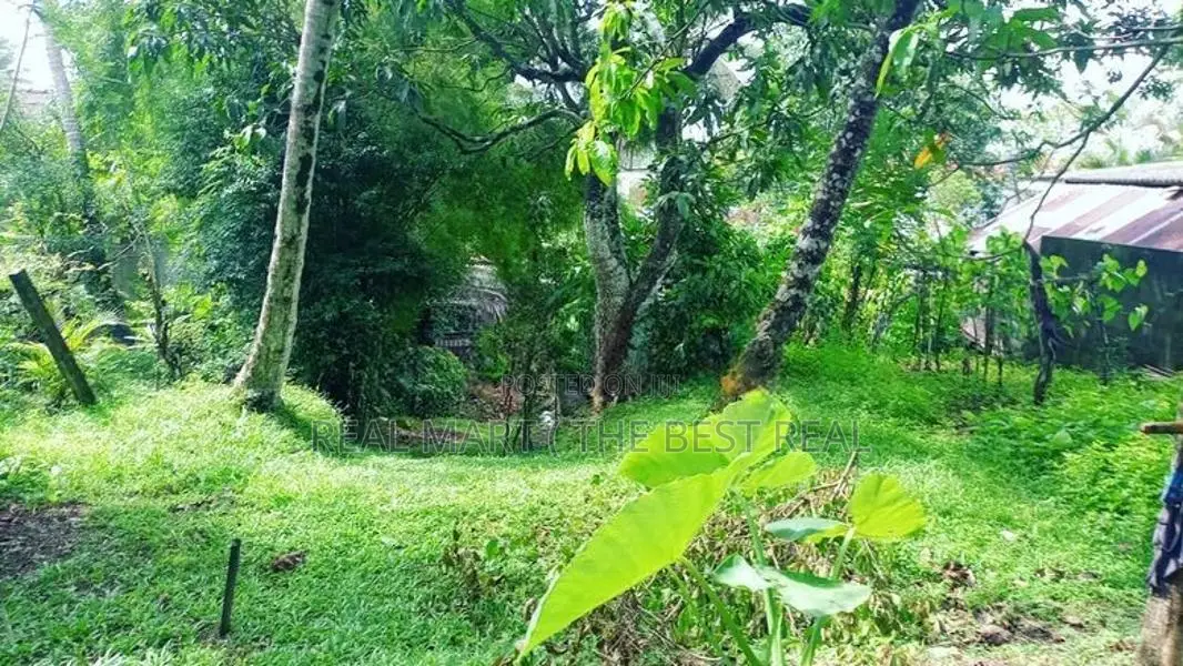 Polgasowita : 38 Perches commercial Land For rent Facing Colombo Road