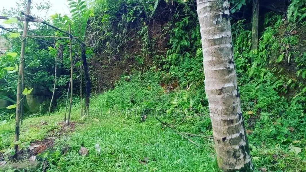 Polgasowita : 38 Perches commercial Land For rent Facing Colombo Road