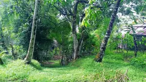 Polgasowita : 38 Perches commercial Land For Sale Facing Colombo Road