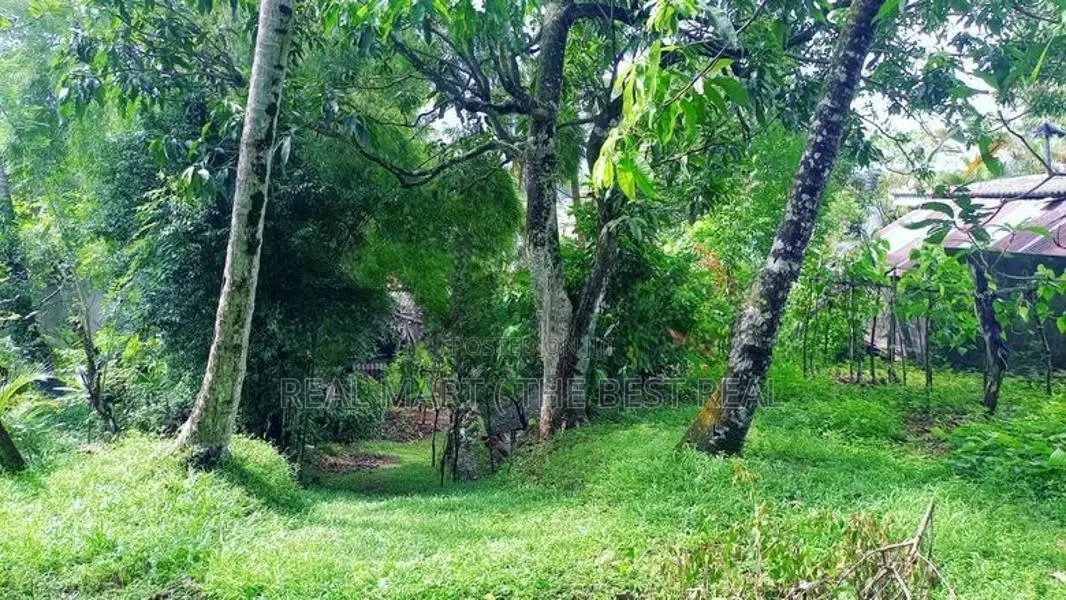 Polgasowita : 38 Perches commercial Land For rent Facing Colombo Road