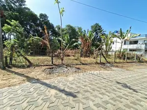 කොට්ටාව, පැලන්වත්ත පිහිටි ඉඩමක් විකිණීමට ඇත (ID : PELN001S)
