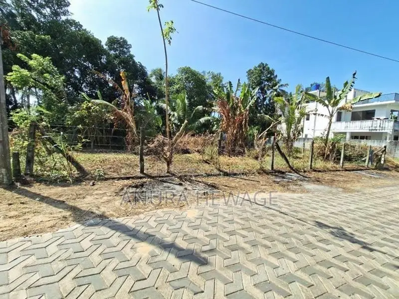 කොට්ටාව, පැලන්වත්ත පිහිටි ඉඩමක් විකිණීමට ඇත (ID : PELN001S)
