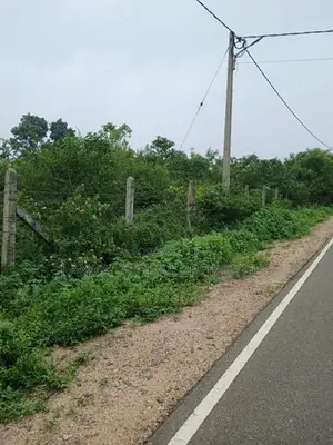 Main Road Frontage Land for Sale - Keerimalai
