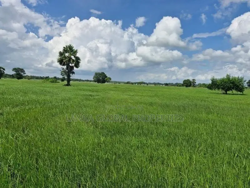 Agricultural Land for Sale - Nelukkulam