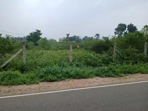 Main Road Frontage Land for Sale - Keerimalai