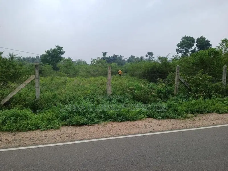 Main Road Frontage Land for Sale - Keerimalai
