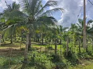 Land Sale - Nelukkulam