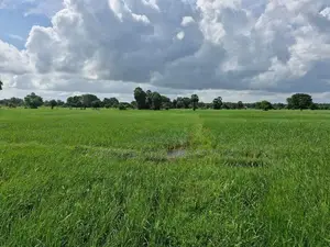 Agricultural Land for Sale - Nelukkulam