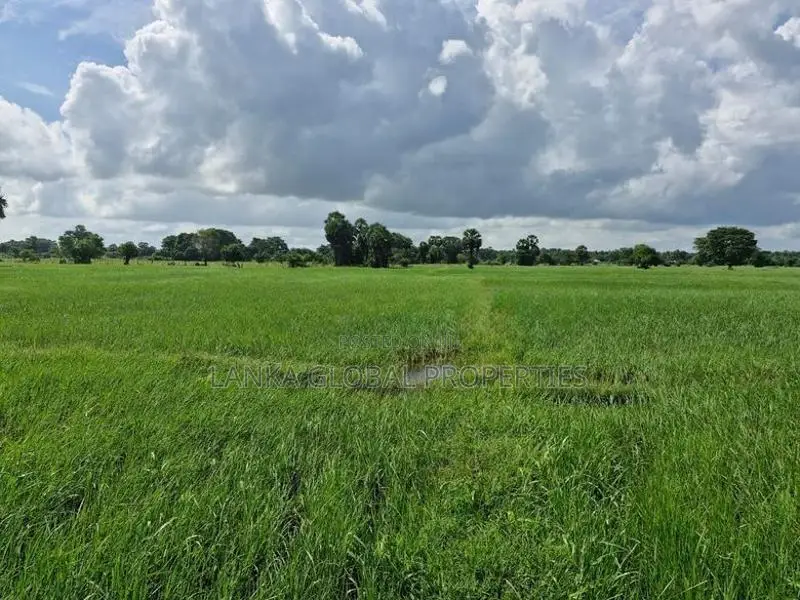 Agricultural Land for Sale - Nelukkulam
