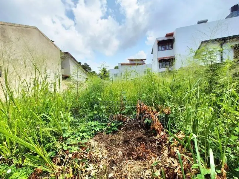 15P Bare Land For Sale In Nawala
