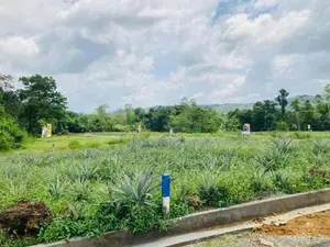 ඇහැලියගොඩ නගරයෙන් සුන්දර ඉඩමක්